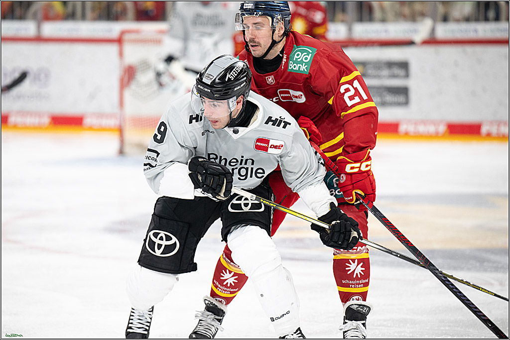 PENNY DEL; Duesseldorfer EG- Koelner Haie; Duesseldorf, 24.01.2025